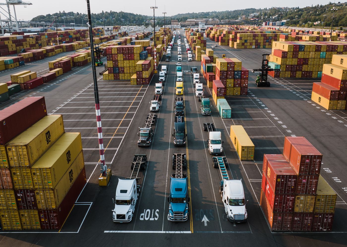 Sourcing and export logistics: trucks at a port. Illustrative stock photo.